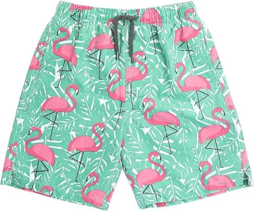 INGEAR Boys Quick Dry Swim Trunks UPF 50+ Sizes 3T-14 Flamingo Swim Shorts