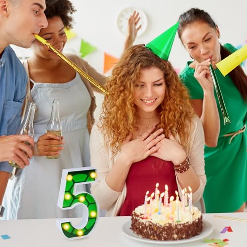 LED Number Lights Cartoon Themed Birthday Decorations LED Light Up Number Centerpieces Table Decorations for Party Supplies Backdrop Wall Decor for Birthday Party Decorations (Number 5)