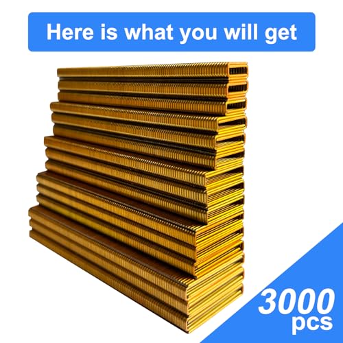 Image of 18GA 1 /4 inch Narrow Crown Staples 1 /2 inch,3 /4 inch,1 inch,1-1 /4 inch,1-1 /2 inch,3000 PCS | Galvanized Coating Resists Rust for Indoor Woodworking & Decoration for 18GA 1 /4 inch Crown Electric Staplers and Staple Guns