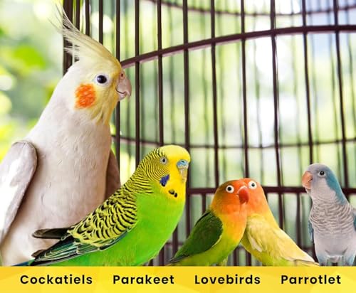 Image of Boltz Premium Fruit Pellet and Seed Mix Bird Food 500Gm, Fruits Blend Flavor with Natural Flavor, Enriched with Fruit and Veg Pellets, Bird Seed Food for Cockatiel & Lovebirds (Fruits Pellets 500 Gm)