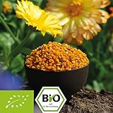 blütenpollen Frische Bio Blütenpollen in Top Qualität aus Ungarn (hochwertige Multicolorpollen)