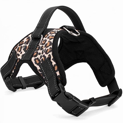 Quanjucheer - Pettorina regolabile per cani e cani, in poliestere, stampa leopardata L