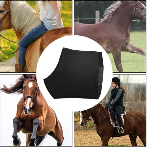 Protection ventrale légère cheval contre blessures et frottement