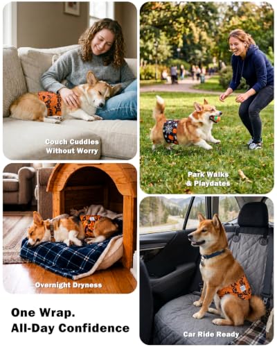 Image of CuteBone Dog Diapers Male Halloween Belly Bands 3 Pack for Male Dogs Reusable Puppy Wraps DM82XS