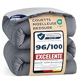 Bedsure Couette 240x220 Quatre Saisons Toute l'Année   Couette sans Housse 240x220cm 300g/m²   4 Saisons Reversible Gris/Gris Clair, Duvet Doux et Chaud pour Allergiques