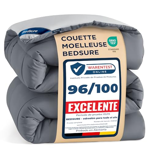 Bedsure Couette 240x220 Quatre Saisons Toute l'Année - Couette sans Housse 240x220cm 300g/m² - 4 Saisons Reversible Gris/Gris Clair, Duvet Doux et Chaud pour...