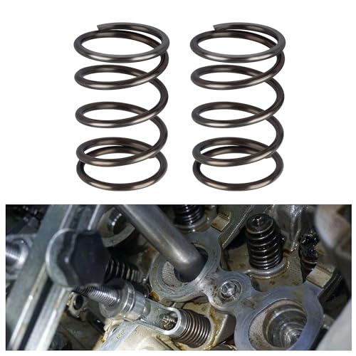 Carleef CARLEEF-QI MEN TAN HUANG/2PCS-0501 2Pcs 18Lb Car Engine Valve Springs Kit,Engine Valve Spring Tool Compatible With Honda Gx200,Predator 212Cc And Most Other Gx200 Ohv Clone Engines Automotive Accessories cover