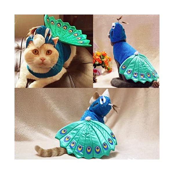 Popetpop dog peacock costume-pet costumes for cats peacocks halloween costumes with hat funny bird costume for small dogs and cats-blue - image 3