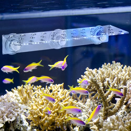 Image of POPETPOP Coral Frag Rack : 32 Holes Clear Acrylic Coral Bracket with Powerful Suction Cup for Fish Tank Aquarium, 13.17X4.13X2.16in