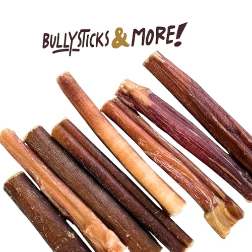 Image of BULLYSTICKS & MORE 4-5 Inch Bully Sticks (Regular - 25 Pack) | Bully Sticks for Medium Dogs | 100% Grass Fed Beef | Dog Parents Choice Bully Stick Dog Chews | No Hide Bully Bones