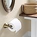 Flybath Toilet Paper Holder Without Cover Antique Brass Bathroom Tissue Roll Bar Wall Mounted, 20 cm / 7.87 inches, Brushed Bronze