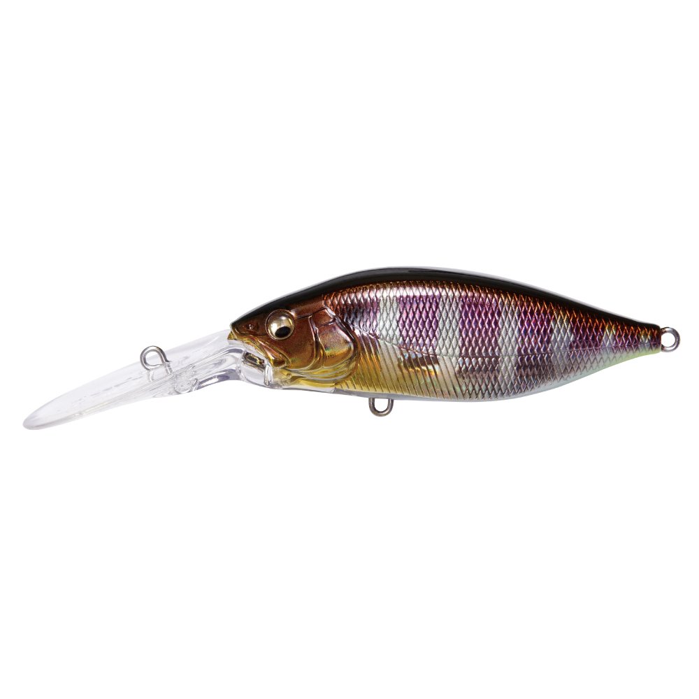 Amazon.co.jp: メガバス(Megabass) DEEP-X 200 LBO GG ギル : スポーツ
