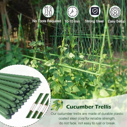 Piquets de jardin en métal pour support de plantes, treillis robuste avec attaches pour plantes grimpantes comme les concombres, haricots, framboises, courges, utilisation en extérieur
