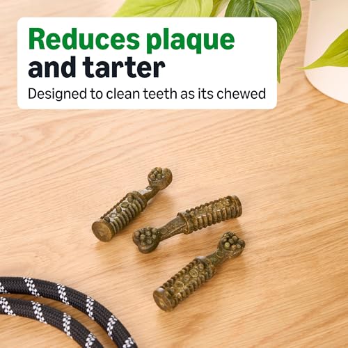 Image of Amazon Basics Dental Dog Treats to Help Clean Teeth & Freshen Breath for Small Dogs, Small, Unflavored, Per Pack: 60 Count, 2.25 pounds (Previously Wag)