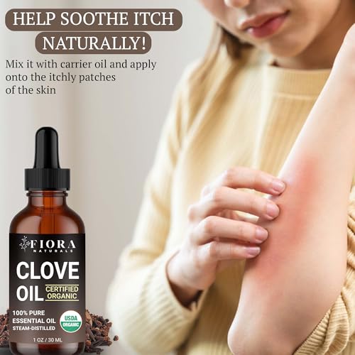 Image of Organic Clove Essential Oil - 100% Pure, USDA Certified Clove Bud Oil for Teeth & Gums, Toothache Relief, Hair Growth & Aromatherapy - Premium Cloves Oil for DIY Wellness by Fiora Naturals