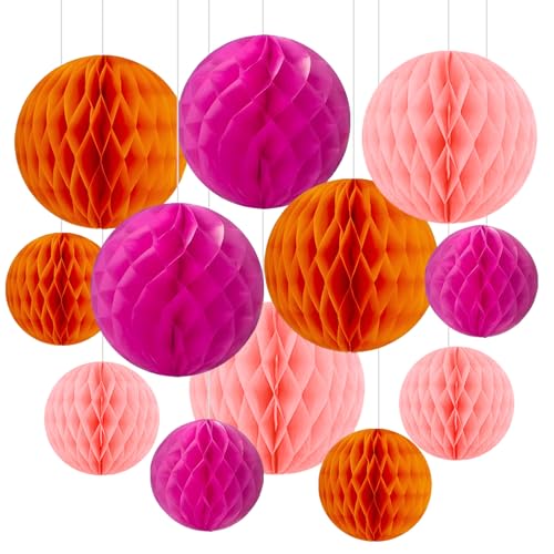 12 Pack Tissue Paper Honeycomb Balls,WideSmart 6 & 10 Party Hanging Paper Flower Balls Decoration,Paper Pom Poms Decorations,Papers Lanterns for Outside,Birthday Baby Shower Wedding Decorations