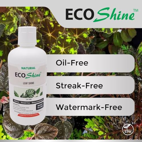 Spray Brillo para Hojas Eco Shine 16oz Líquido miniatura 5
