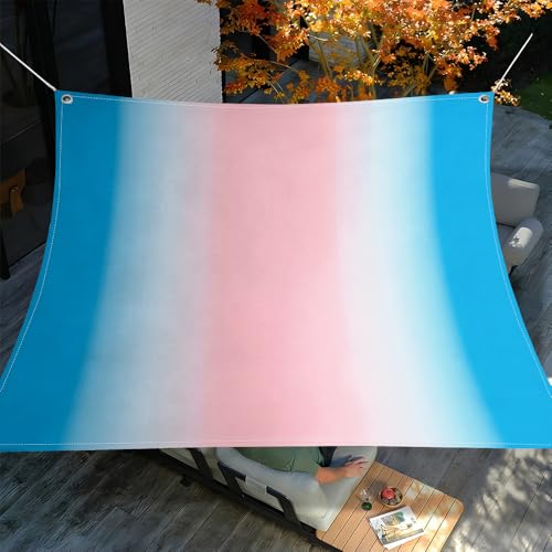 Highdi Toldo Vela Rectangular, Tela Toldo Exterior con Ojales Cuerda, Impermeable Resistente al Sol Terraza Protección Rayos UV, Exterior Tela Sombra para Pergola Jardín (Azul Polvo 03,2x2m)