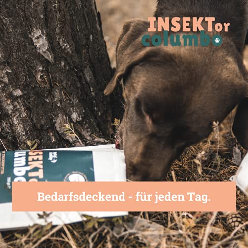 BeG Buddy Insekten Hundefutter, getreidefrei & hypoallergen Insektenfutter Hund - 30% Insektenprotein, Trockenfutter Insekt, Allergie, 750 g