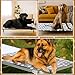 Clysee Large Self Warming Dog Bed Pad for Elevated Dog Bed Replacement Self Heating Warm Raised Cot Pad Mat with Corner Strap Removable Washable Soft Plush Cover Non-Slip Bottom Star(42 x 26 Inches)