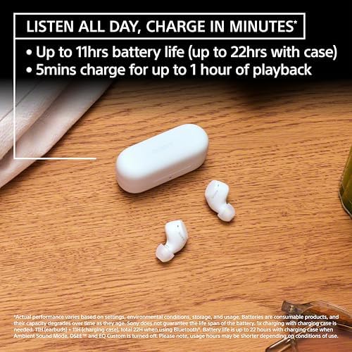 Sony WF-C510 Truly Wireless in-Ear Bluetooth Earbud Headphones with up to 22-Hour Battery, Multipoint-Connection, Mic and IPX4 Water Resistance, Black - New - 2