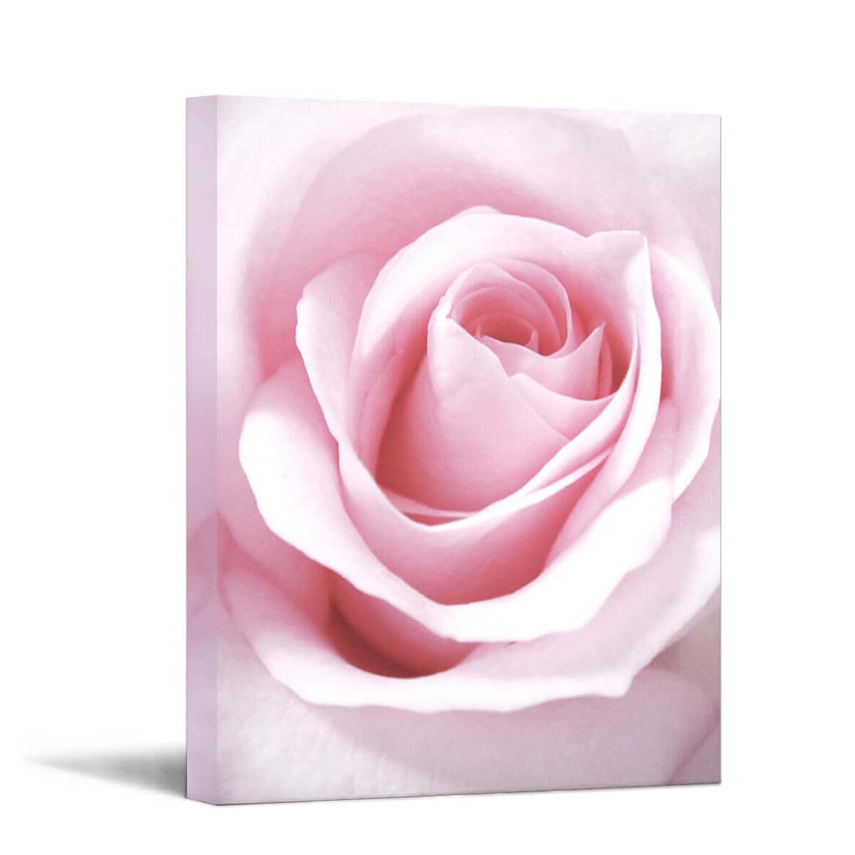 Bedroom Decor for Women Light Pink Rose Decor Canvas Art Flower Wall Decor Bathroom Wall Art Teen Girls Room Decor Gallery Wrapped Artwork for Walls Floral Wall Pictures Room Decorations 16x20inch