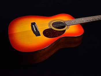 Amazon | Cort CAG-1F CAO アコースティックギター初心者12点