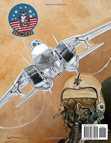 F-14 Tomcat Illustrated