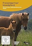 islandponys reiten  Freizeitpartner Islandpferd: Porträt einer außergewöhnlichen Rasse [2 DVDs]