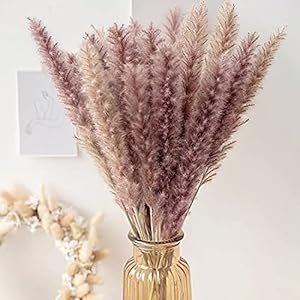 Pampasgras gedroogde decoratie, 30 stuksnatuurlijk gedroogd Phragmites planten droogbloemen decoratie bloemen vaas voor…