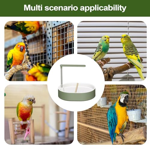 Accesorios de jaula tipo piscina para loros en días calurosos de verano 5