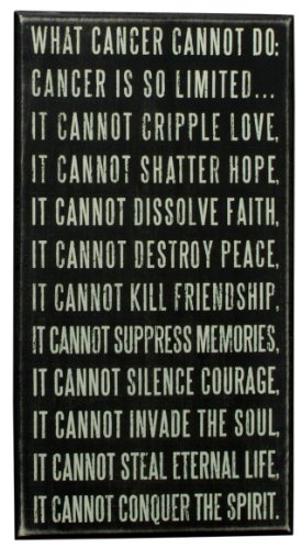 Primitives by Kathy 17050 Box Sign, 8 x 15-Inches, What Cancer Cannot