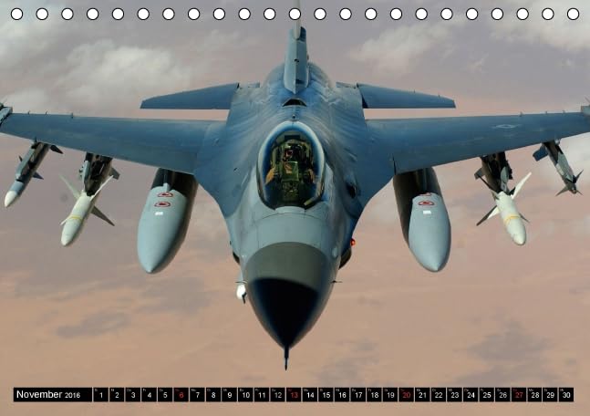 Kampfjets • U.S. Aircraft (Tischkalender 2016 DIN A5 quer): Die moderne Luftwaffe der USA (Monatskalender, 14 Seiten) (CALVENDO Technologie)