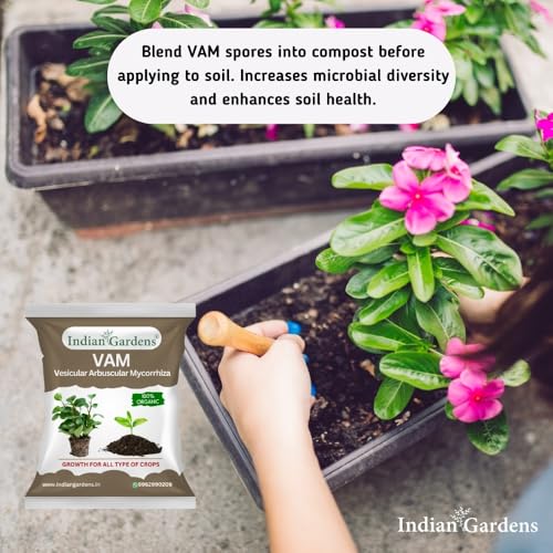 Image of Indian Gardens - VAM (Vesicular Arbuscular Mycorrhiza) Bio fertilizer for All Plants | Root Growth Booster | Organic Plant Food (200 Grams)