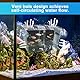 WEFHEF Acrylic Zuchtbecken Fish Aufzuchtbecken Aquarium Zuchtbox Aufzuchtbox Aufzuchtbehälter Zuchtkasten mit Saugnäpfen Aquarium Laichkasten Ablaichkasten Ableichbecken Brutkasten Fischbrutkasten