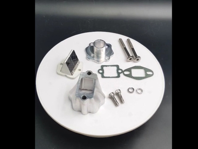 8㎝ CD 希少　 remote CYLINDER 　イカ天 Amazon.com: CDHPOWER OZ Reed Valve Kit 23mm - 2 stroke gas engine
