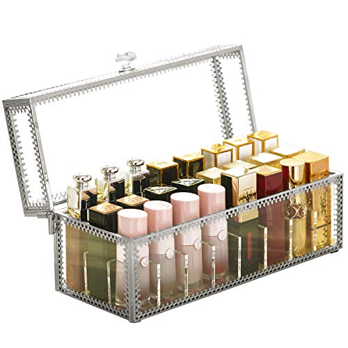 Lipstick Holder Dust Free Glass Transparent Lip Gloss Eye Liner Vanity Cabinet Makeup Organizer with Removable Dividers 24spaces (Silver)