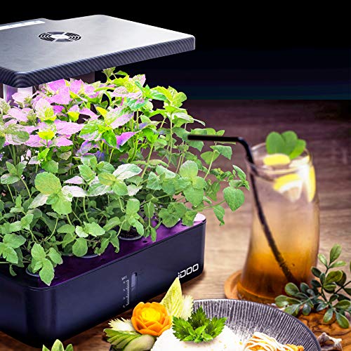 iDOO Hydroponics Growing System Indoor Garden with LED Grow Light...