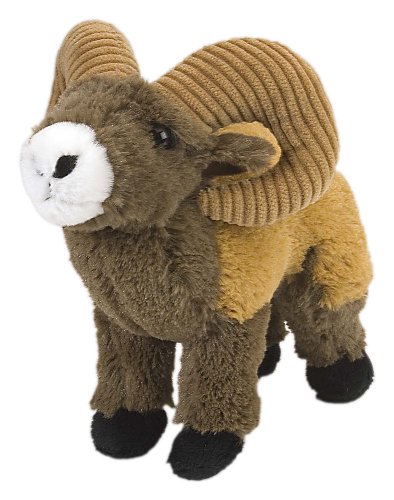 Peluche per bambini educativo, per insegnare ai bambini tutto sulla fauna selvatica e sulla natura