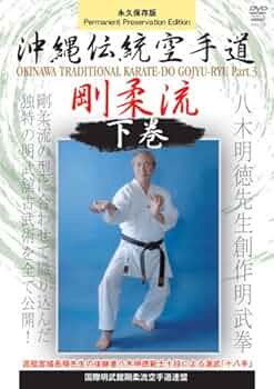 Amazon.co.jp: 国際明武館剛柔流空手道連盟 沖縄伝統空手道剛柔流 下巻