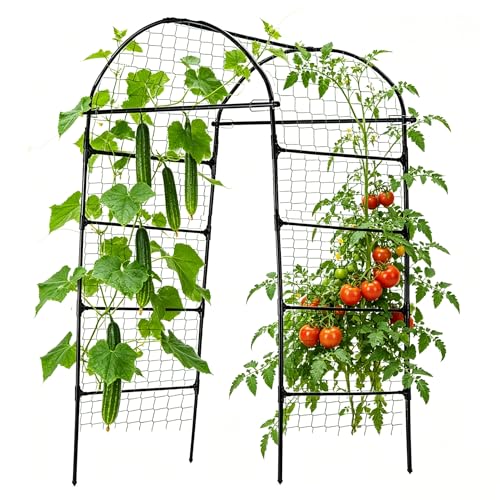 80 Inch Tall Garden Arch Trellis for Climbing Plants Outdoor, Grape Trelli Metal Vine Plants Support Flower Vegetable Tomato (Black, 33" L x 33" W x 80" H - Arch Trellis)