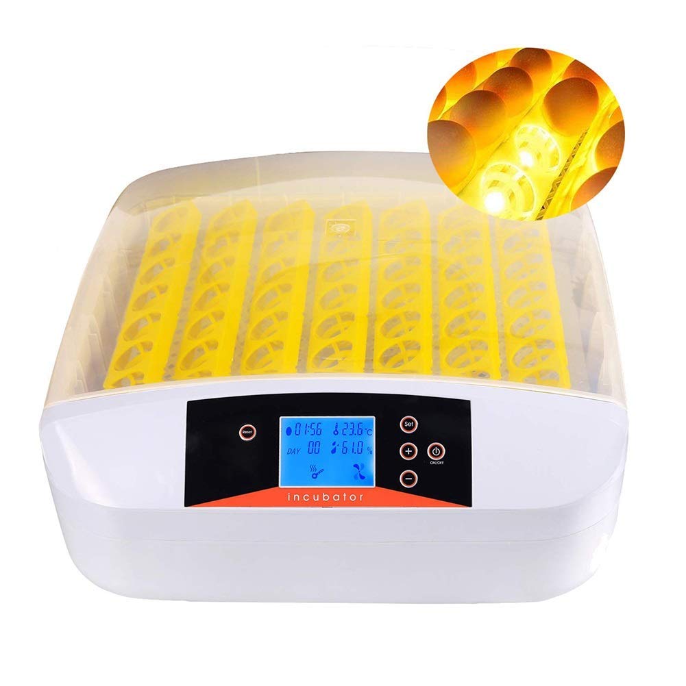 自動卵インキュベーター 56個用 デジタルディスプレイ Amazon.co.jp: 56個の卵インキュベーター、鶏ウズラのアヒルの鳥の家禽