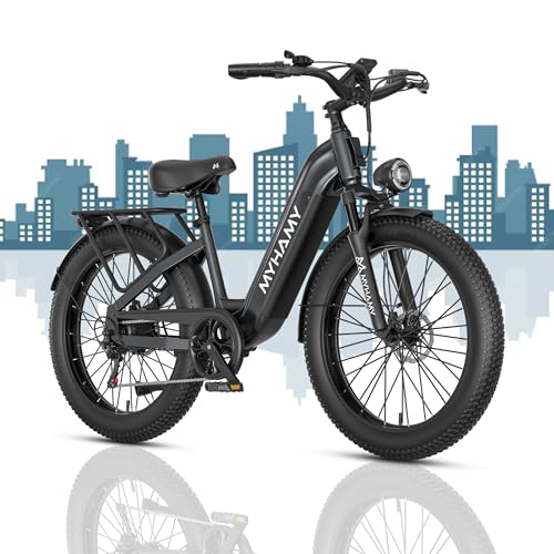 sepado 2000W Electric Bike
