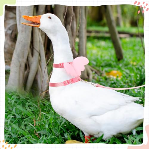Image of SATINIOR 3 Pack Harness and Leash for Pet Ducks, Real Duck Collar and Leash Soft and Adjustable Harness Training Traction Rope Collar for Young Adult Pet Goose Chicken Hen(Pink Green Yellow,M)