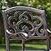 Christopher Knight Home Austin Outdoor Cast Aluminum Dining Chairs, 2-Pcs Set, Shiny Copper