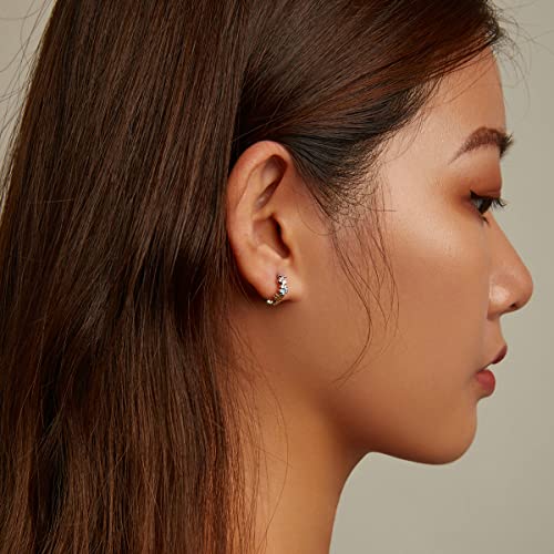 Dog Cat Paw Earrings Sterling Silver 925 - Shysnow Cute Pet Puppy Paws Print Colorful Enamel Heart Footprint Animal Small Huggie Hoop Earrings for Women Girls Animal Lovers3