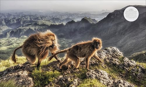 Habitats: Discover Earth's Precious Wild Places - Image 7