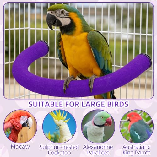 Image of Rypet U Shape Parrot Perch Stand Toy for Paw Grinding Clean Stick Exercise, Rough-Surfaced Quartz Bird Perch Standing Cage Accessories for for Small Parakeets Cockatiels Conures Macaws (Purple XL)