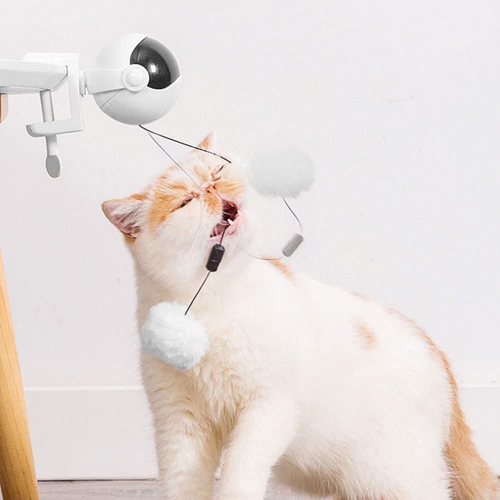 Jouet pour chat interactif GANDUNQIjouet pour chat | jouet de levage Yo-Yo | ballon rotatif électrique à levage automatique | jouets drôles pour animaux de compagnie | rose/blanc (sans batterie)-white