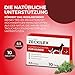 Hello Animal® Zeckilex - Zeckentabletten für Hunde - Pflanzliche Formel ohne Zusätze - Futterzusatzmittel mit Wermutkraut Extrakt - 10 Tabletten